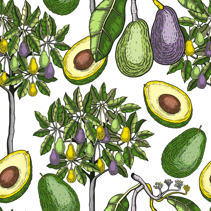 Green avocado tree design. Flat fruit branches, flowers, whole avocado, cut half piece in colors. Seamless healthy food pattern. Vector plant illustration isolated on white background